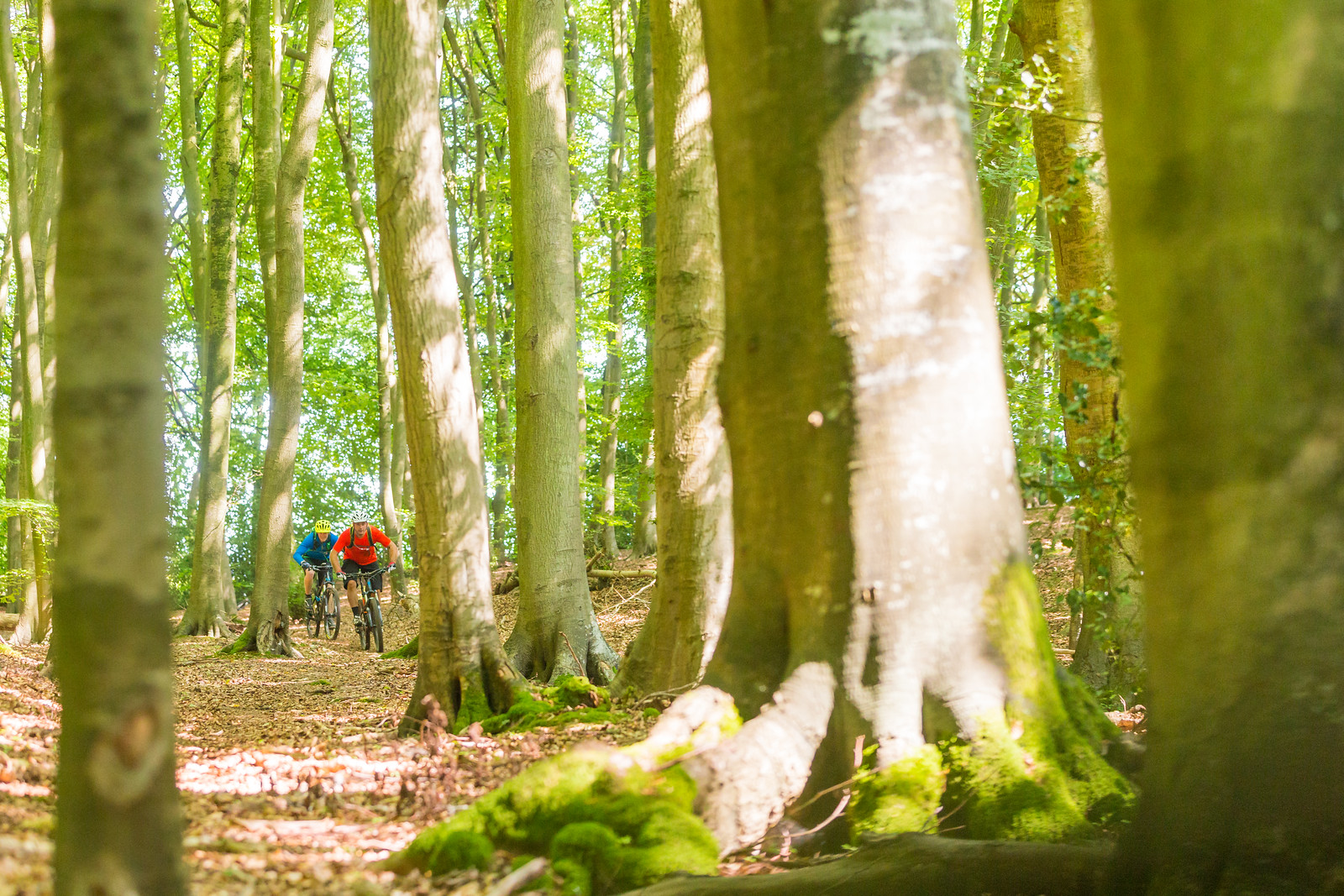 Chilterns Off-Road Cycleway - 25-28th July 2025